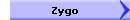 Zygo